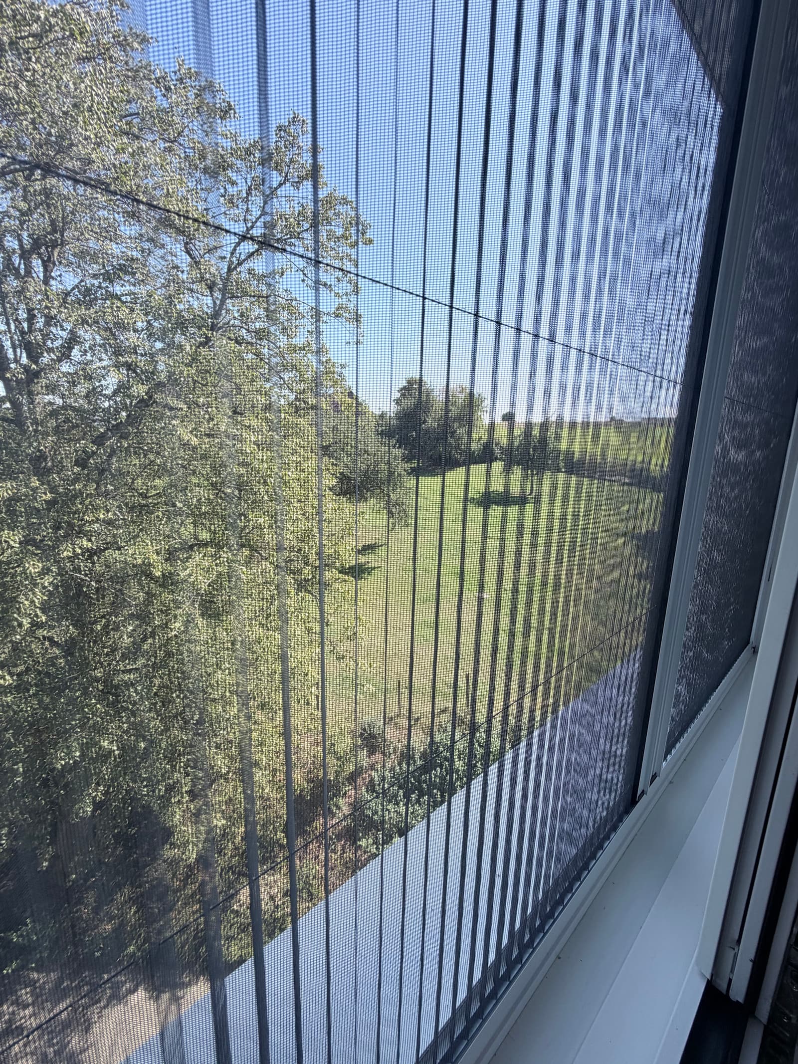 Blick aus einem Wohnungsfenster mit geschlossenem Insektenschutz-Plissee: Durch das Gewebe sind Baum, Wiese und blauer Himmel klar zu erkennen.